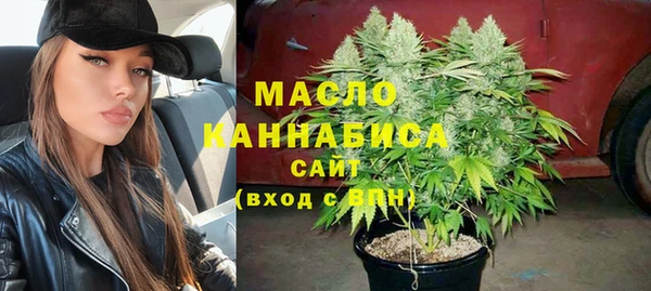 гидра Арсеньев