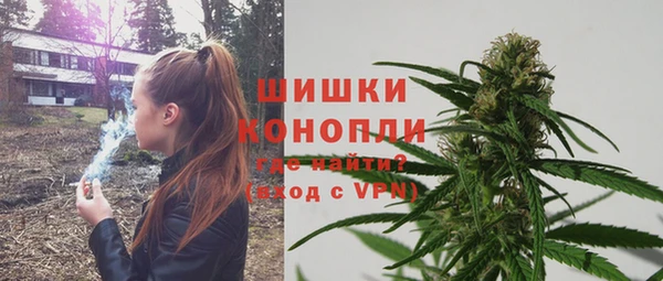 гидра Арсеньев