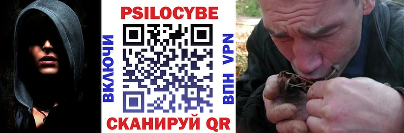 Галлюциногенные грибы мицелий  Купить  Междуреченск 